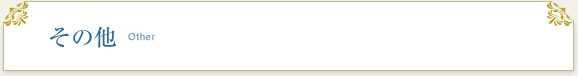 その他