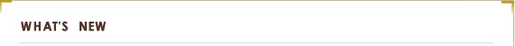 WHAT'S　NEW　新着情報